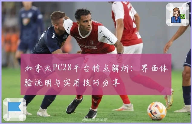 加拿大PC28平台特点解析：界面体验说明与实用技巧分享