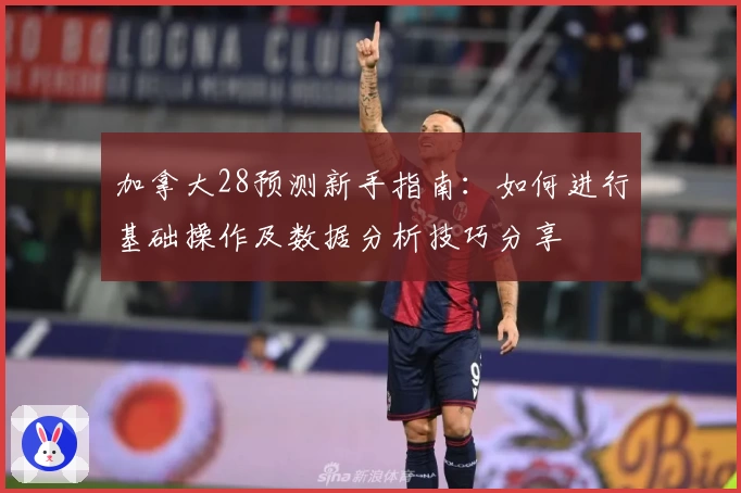 加拿大28预测新手指南：如何进行基础操作及数据分析技巧分享