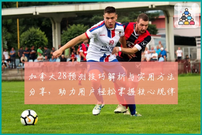 加拿大28预测技巧解析与实用方法分享，助力用户轻松掌握核心规律