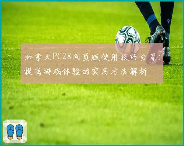 加拿大PC28网页版使用技巧分享：提高游戏体验的实用方法解析