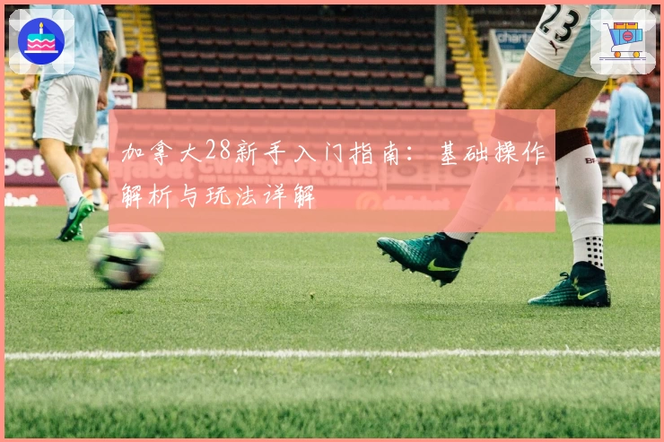 加拿大28新手入门指南：基础操作解析与玩法详解