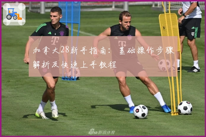 加拿大28新手指南：基础操作步骤解析及快速上手教程