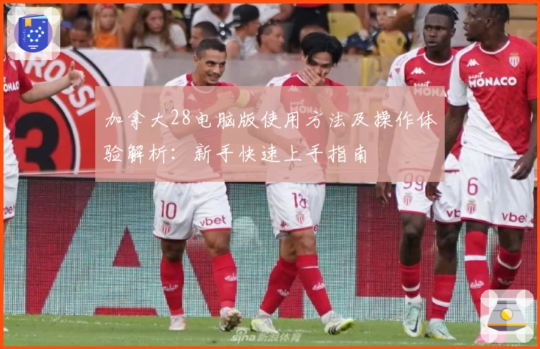 加拿大28电脑版使用方法及操作体验解析：新手快速上手指南