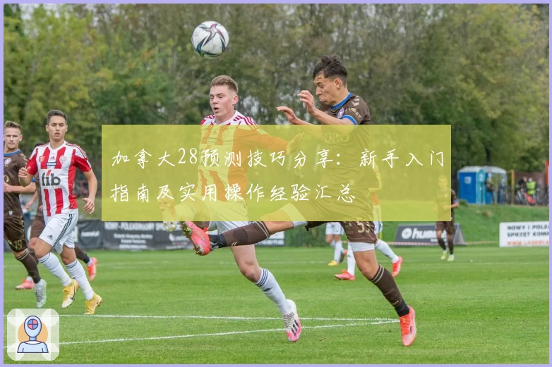 加拿大28预测技巧分享:新手入门指南及实用操作经验汇总