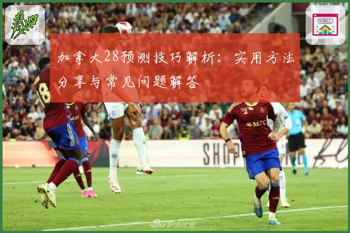 加拿大28预测技巧解析：实用方法分享与常见问题解答