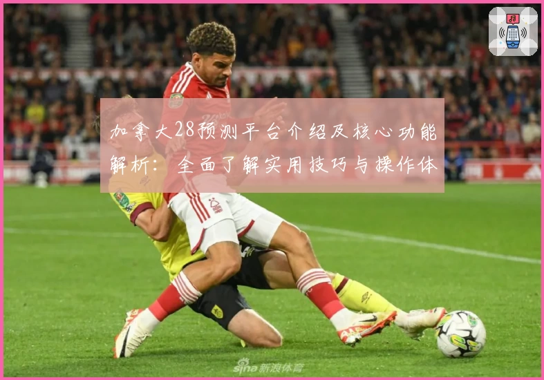 加拿大28预测平台介绍及核心功能解析：全面了解实用技巧与操作体验