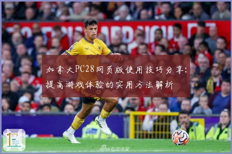 加拿大PC28网页版使用技巧分享：提高游戏体验的实用方法解析