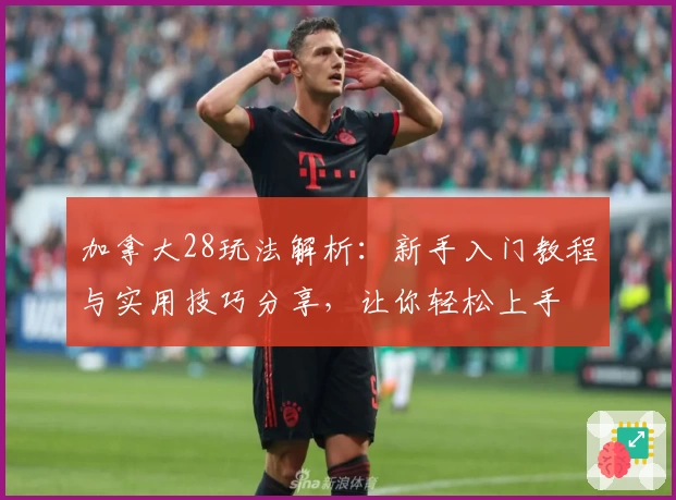 加拿大28玩法解析：新手入门教程与实用技巧分享，让你轻松上手
