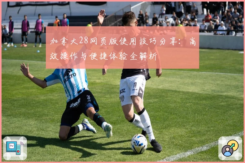 加拿大28网页版使用技巧分享：高效操作与便捷体验全解析