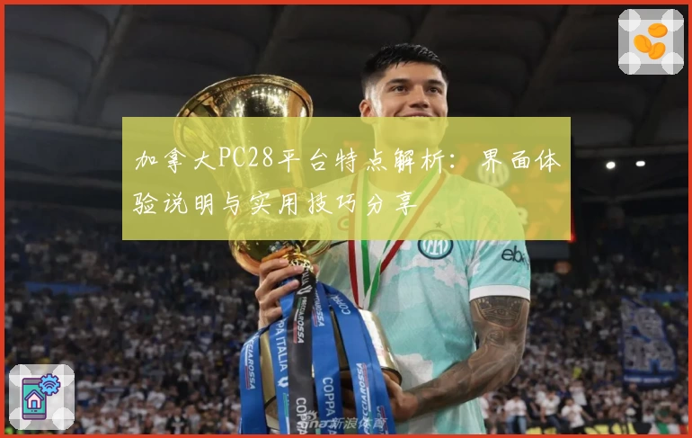 加拿大PC28平台特点解析：界面体验说明与实用技巧分享
