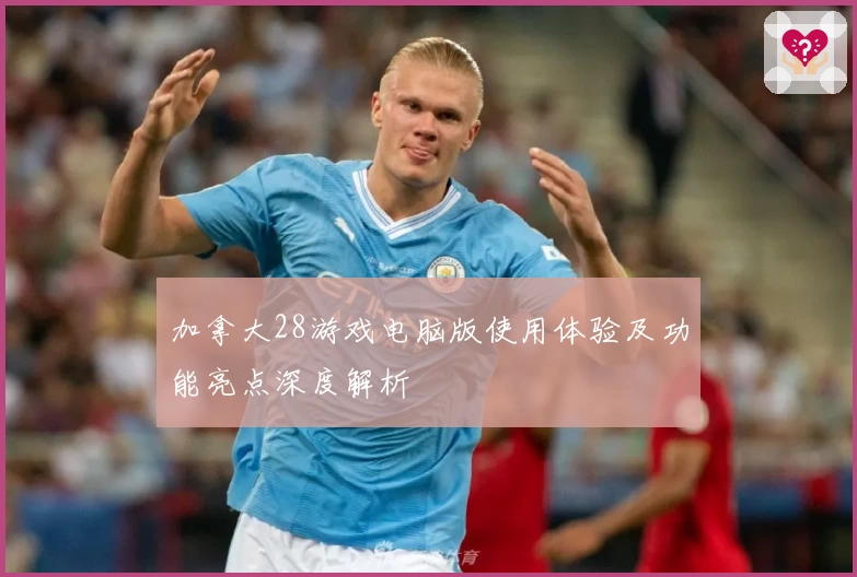 加拿大28游戏电脑版使用体验及功能亮点深度解析