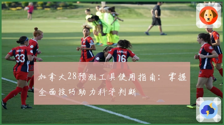 加拿大28预测工具使用指南：掌握全面技巧助力科学判断