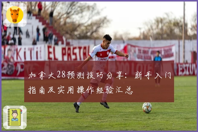 加拿大28预测技巧分享：新手入门指南及实用操作经验汇总