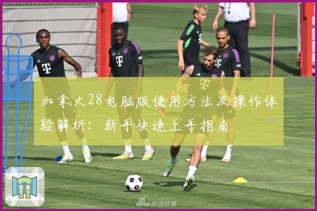 加拿大28电脑版使用方法及操作体验解析：新手快速上手指南