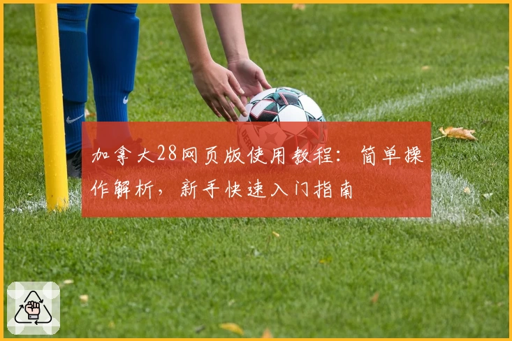 加拿大28网页版使用教程：简单操作解析，新手快速入门指南